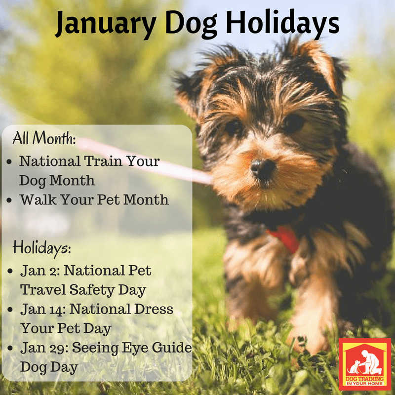 January dog holidays 2016 | Dog Training In Your Home